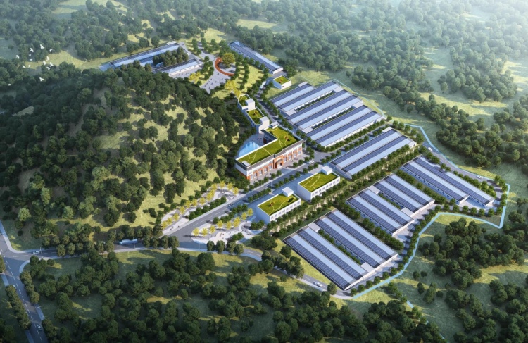 �������а˴弯Լ�����ɱ���Ϻ��ֳ��Ŀ